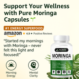 Parnik Naturals Moringa Capsules 60 – Ayurvedic Vegan Herbal Supplement for Immune Support, Energy Boost, Detox & Weight Management – Non-GMO, Gluten-Free