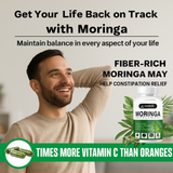 Parnik Naturals Moringa Capsules 60 – Ayurvedic Vegan Herbal Supplement for Immune Support, Energy Boost, Detox & Weight Management – Non-GMO, Gluten-Free