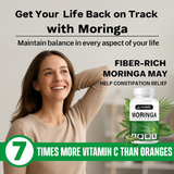 Parnik Naturals Moringa Capsules 60 – Ayurvedic Vegan Herbal Supplement for Immune Support, Energy Boost, Detox & Weight Management – Non-GMO, Gluten-Free