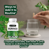 Parnik Naturals Moringa Capsules 60 – Ayurvedic Vegan Herbal Supplement for Immune Support, Energy Boost, Detox & Weight Management – Non-GMO, Gluten-Free